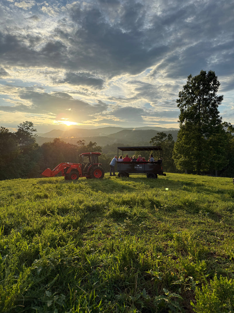 What to Expect on a Private Wagon Tour at Big Balls Ranch