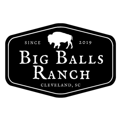 2507 (Yearling Bull) PIC COMING SOON