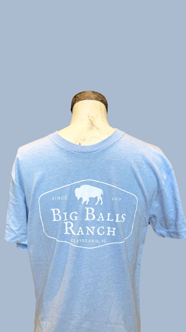 Carolina Blue Stamp logo T-Shirt