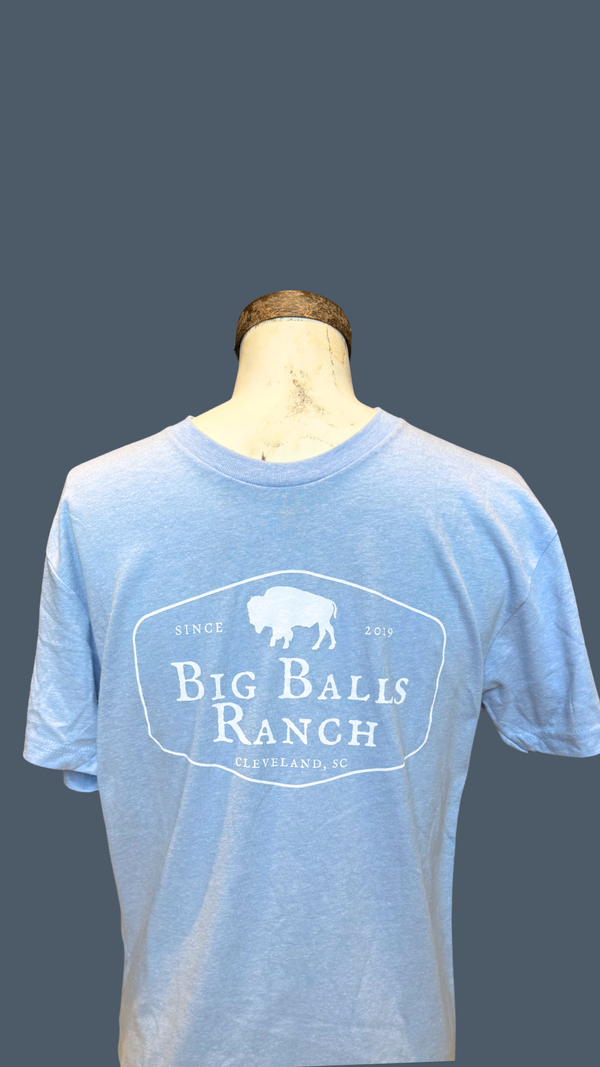Carolina Blue Stamp logo T-Shirt