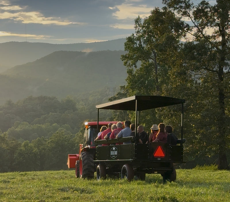 Big Balls Ranch Private Wagon Bison Tour (90 Minutes)
