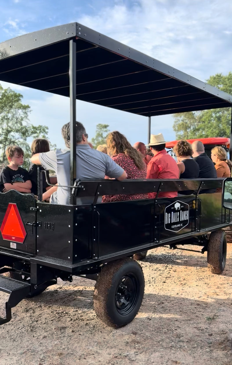 Big Balls Ranch Private Wagon Bison Tour (90 Minutes)