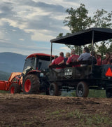 Big Balls Ranch Private Wagon Bison Tour (90 Minutes)