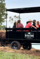 Big Balls Ranch Private Wagon Bison Tour (90 Minutes)