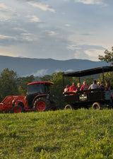 Big Balls Ranch Private Wagon Bison Tour (90 Minutes)