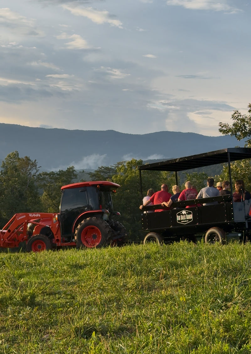 Big Balls Ranch Private Wagon Bison Tour (90 Minutes)