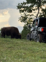 Big Balls Ranch Private Wagon or UTV Tour (90 Minutes)