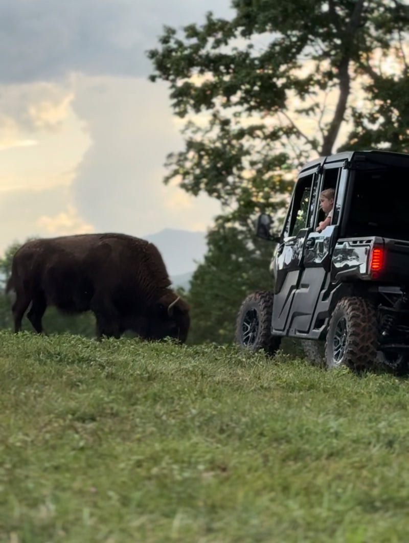 Big Balls Ranch Private Wagon or UTV Tour (90 Minutes)