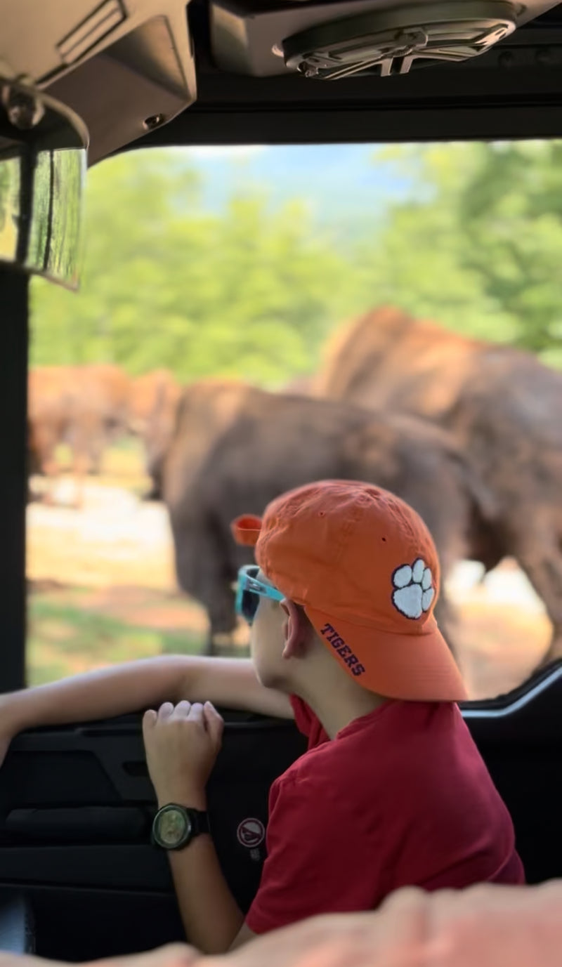Big Balls Ranch Private Wagon or UTV Tour (90 Minutes)
