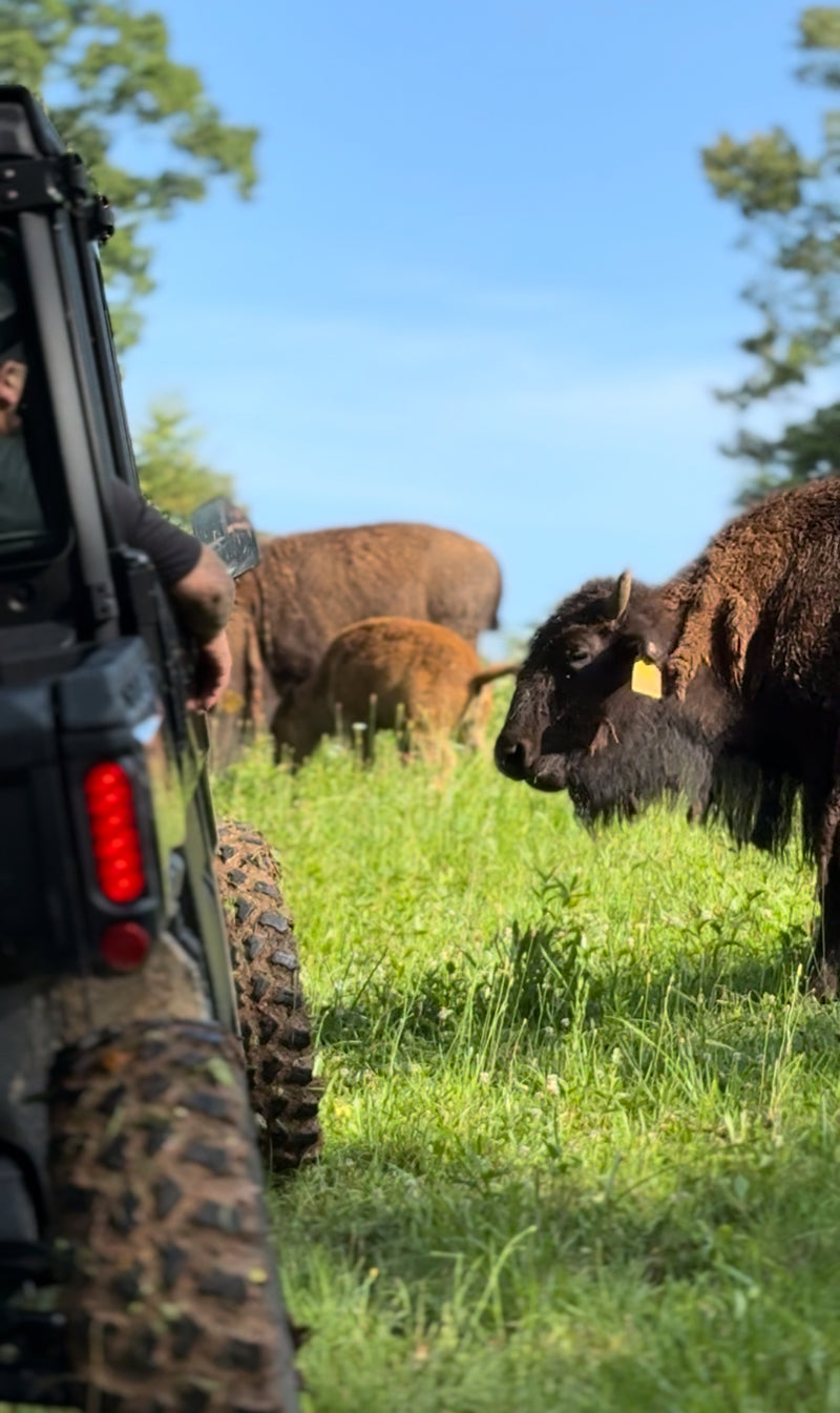 Big Balls Ranch Private Wagon or UTV Tour (90 Minutes)